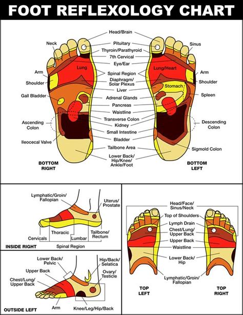 Reflexology 101: The Magic of Feet and How They Can Improve Your Life
